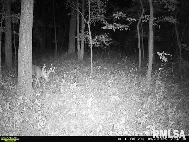 4 4h Road Bridgeport, IL 62417 - Photo 59 of 85