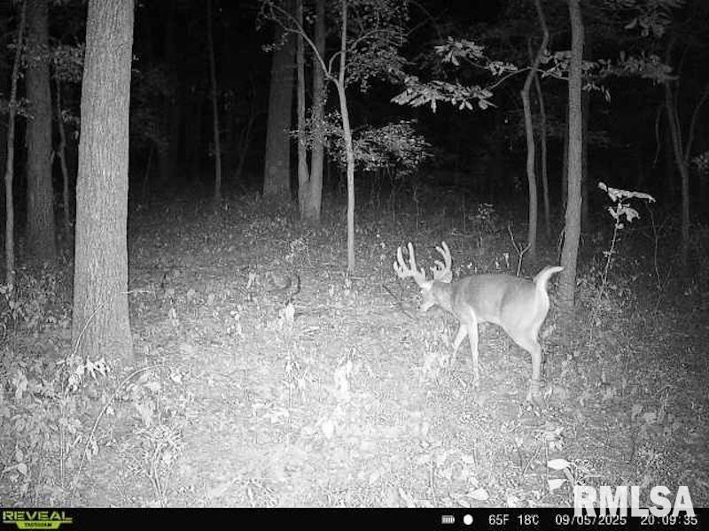 4 4h Road Bridgeport, IL 62417 - Photo 62 of 85