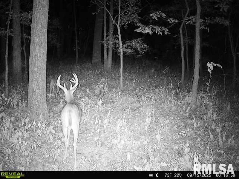 4 4h Road Bridgeport, IL 62417 - Photo 66 of 85
