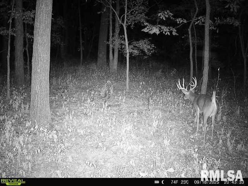 4 4h Road Bridgeport, IL 62417 - Photo 67 of 85