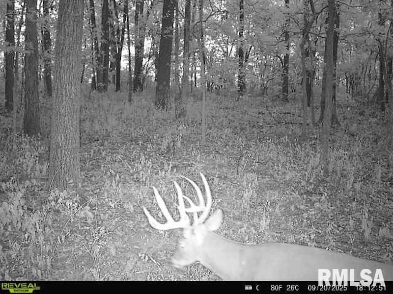 4 4h Road Bridgeport, IL 62417 - Photo 68 of 85