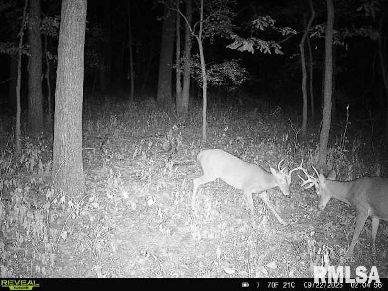 4 4h Road Bridgeport, IL 62417 - Photo 69 of 85