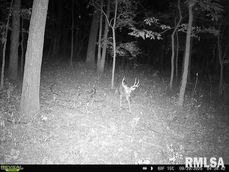 4 4h Road Bridgeport, IL 62417 - Photo 72 of 85