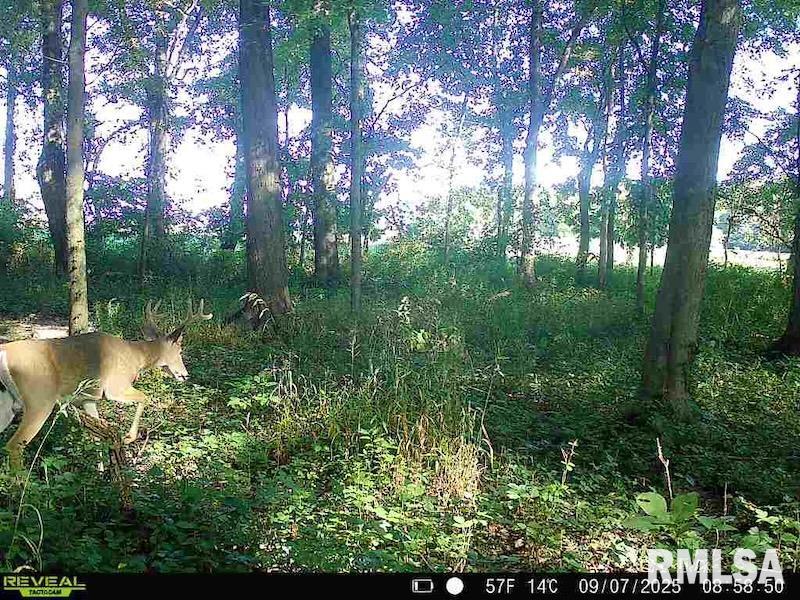 4 4h Road Bridgeport, IL 62417 - Photo 78 of 85
