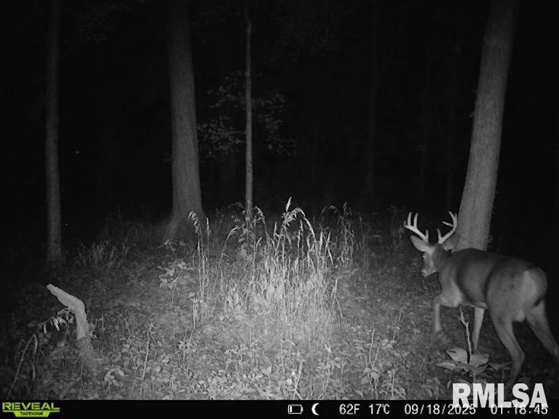 4 4h Road Bridgeport, IL 62417 - Photo 79 of 85