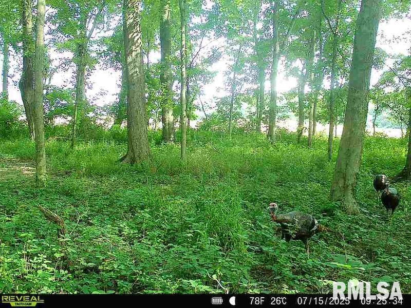 4 4h Road Bridgeport, IL 62417 - Photo 81 of 85