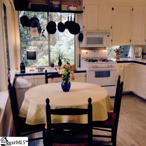 244 New Market Road Tryon, NC 28782 - Photo 3 of 12