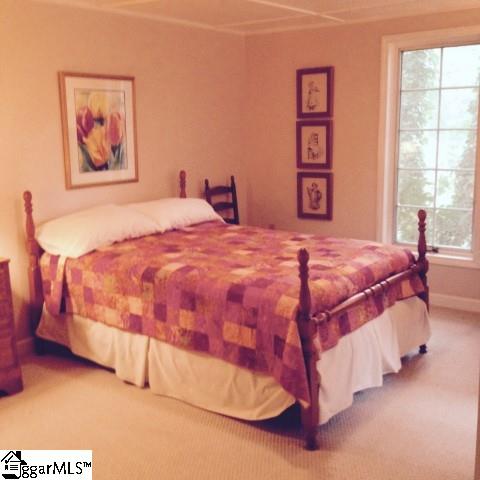244 New Market Road Tryon, NC 28782 - Photo 5 of 12