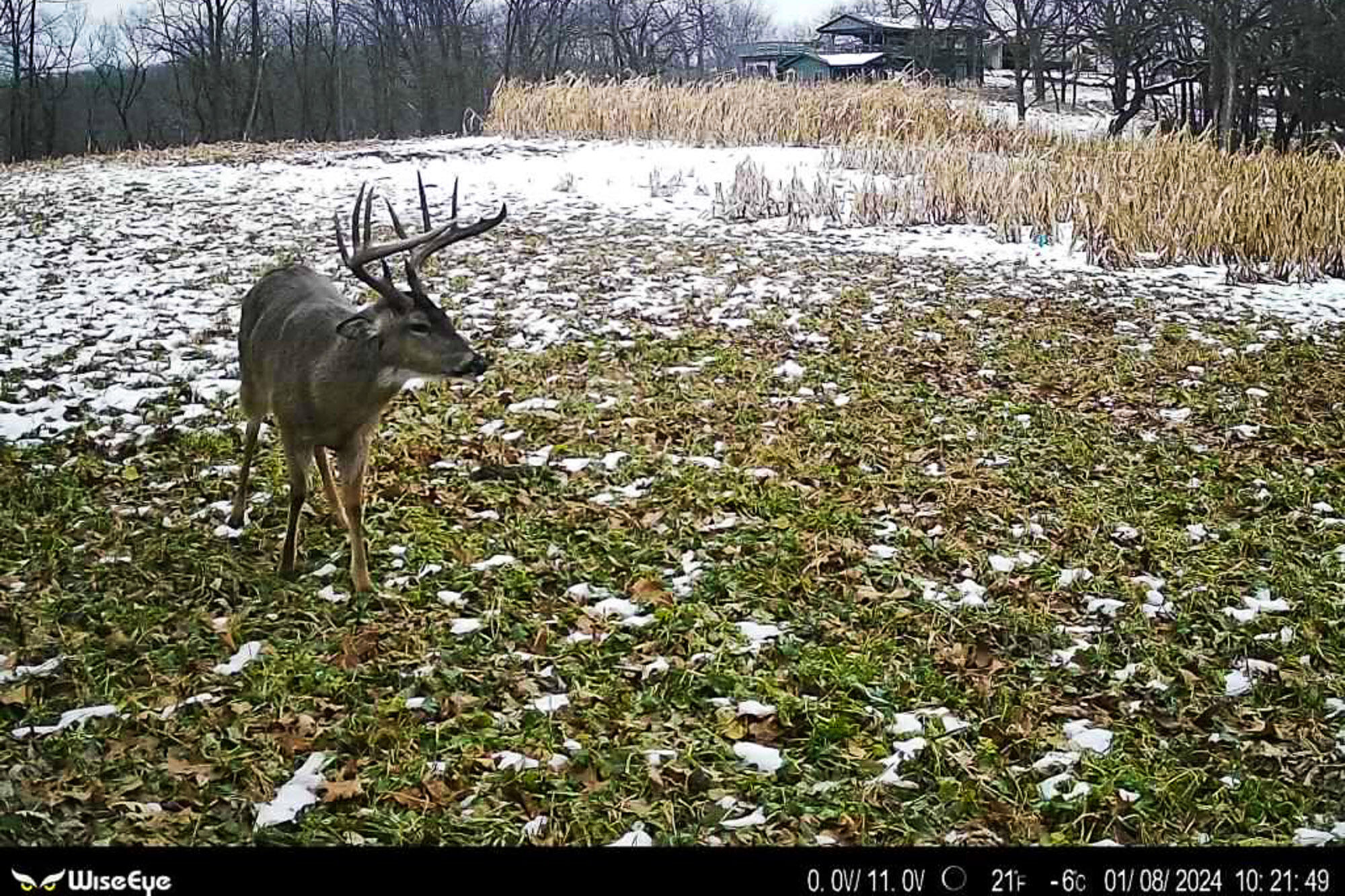 6427 Sand Hill Road Pulaski, WI 53506 - Photo 3 of 103 Iowa-County-WI-191-Acres-Land-For-Sale-4
