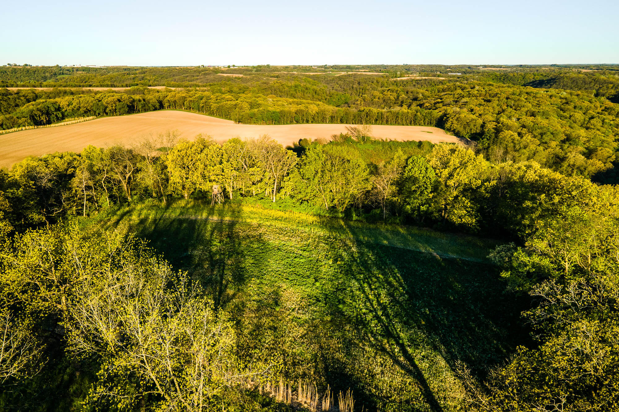 6427 Sand Hill Road Pulaski, WI 53506 - Photo 33 of 103 Iowa-County-WI-191-Acres-Land-For-Sale-3