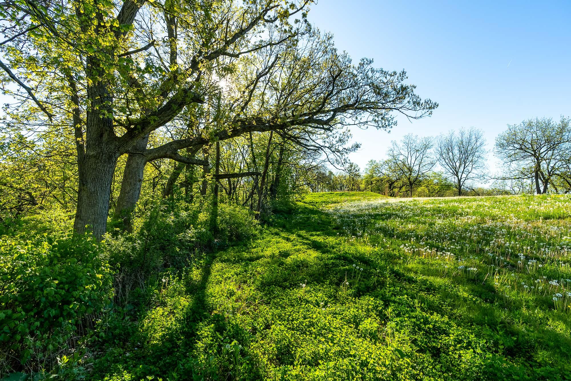 6427 Sand Hill Road Pulaski, WI 53506 - Photo 34 of 103 Iowa-County-WI-191-Acres-Land-For-Sale-3
