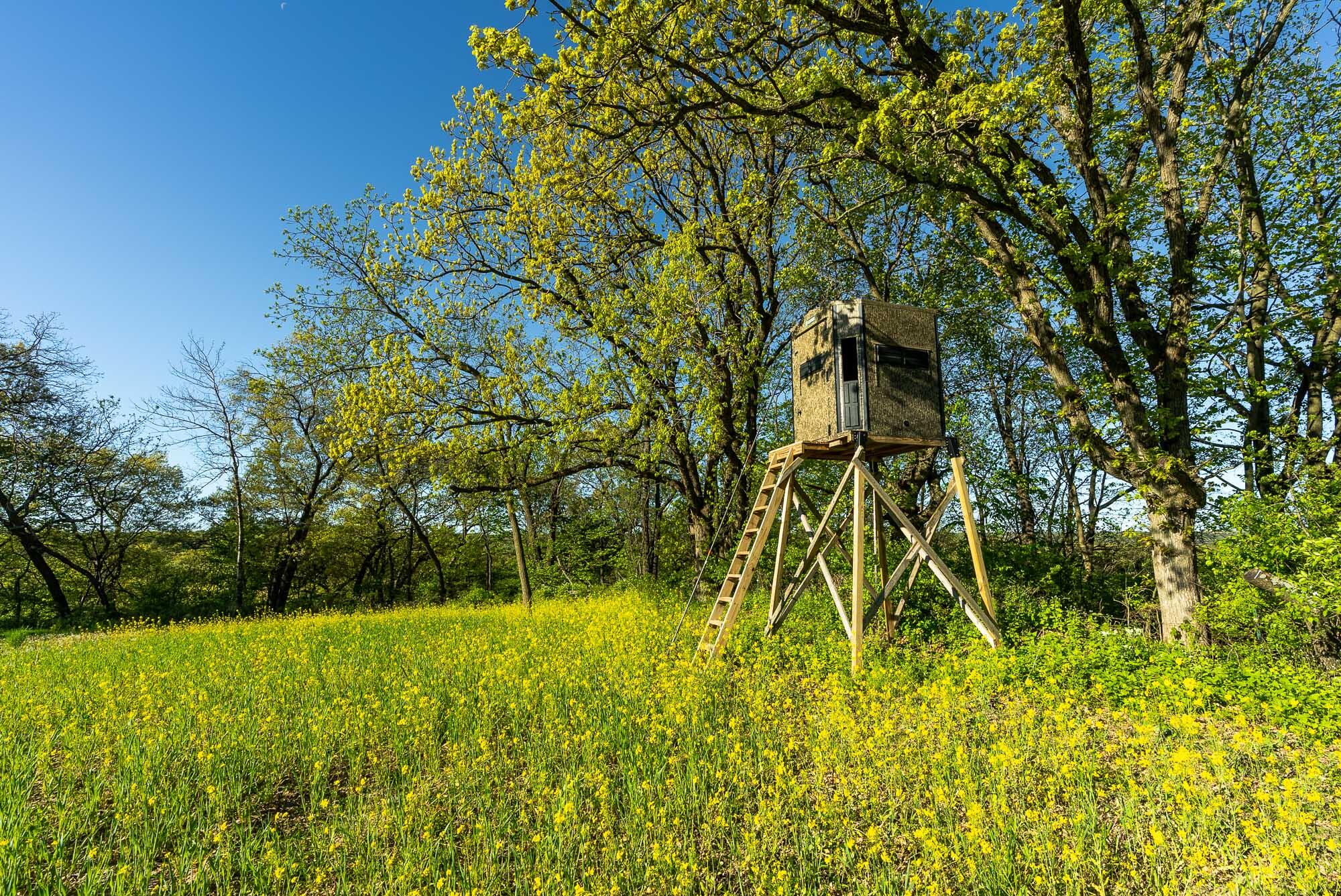 6427 Sand Hill Road Pulaski, WI 53506 - Photo 35 of 103 Iowa-County-WI-191-Acres-Land-For-Sale-3