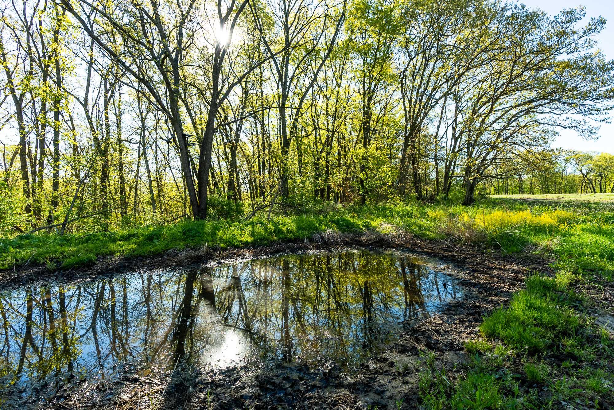 6427 Sand Hill Road Pulaski, WI 53506 - Photo 49 of 103 Iowa-County-WI-191-Acres-Land-For-Sale-5