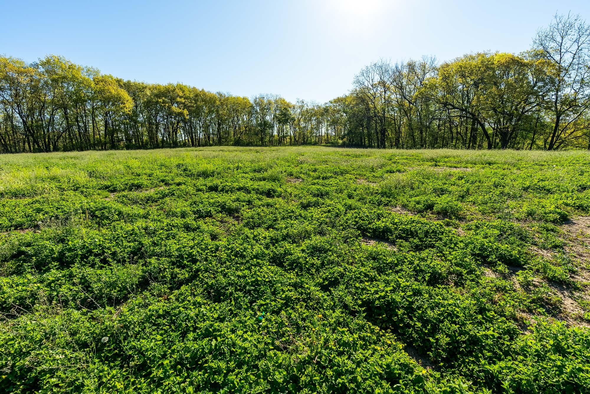 6427 Sand Hill Road Pulaski, WI 53506 - Photo 50 of 103 Iowa-County-WI-191-Acres-Land-For-Sale-5