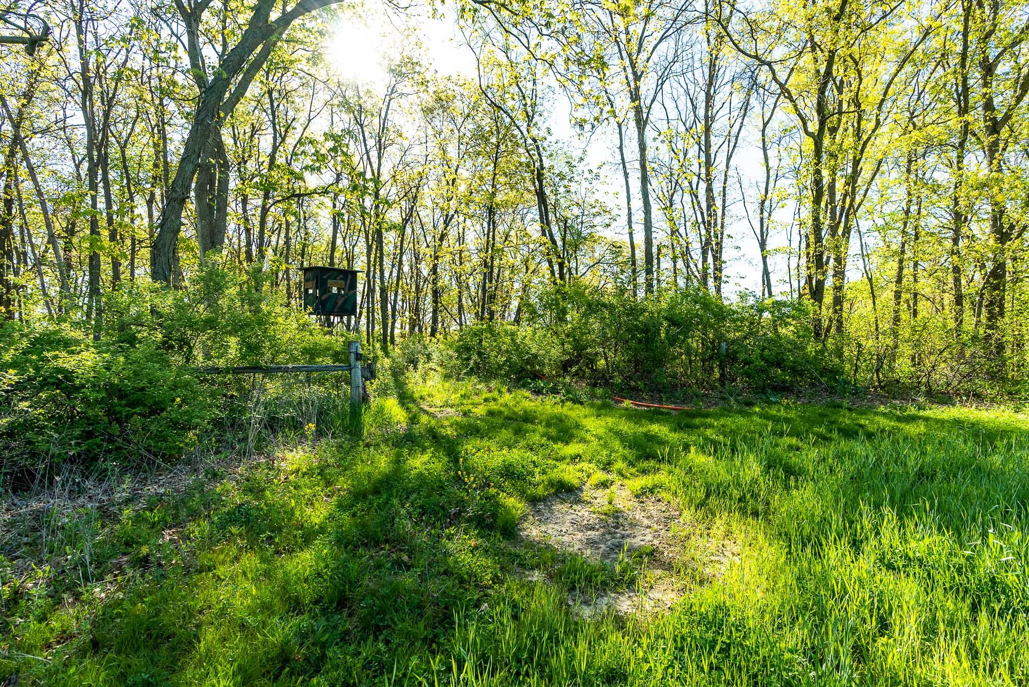 6427 Sand Hill Road Pulaski, WI 53506 - Photo 51 of 103 Iowa-County-WI-191-Acres-Land-For-Sale-5