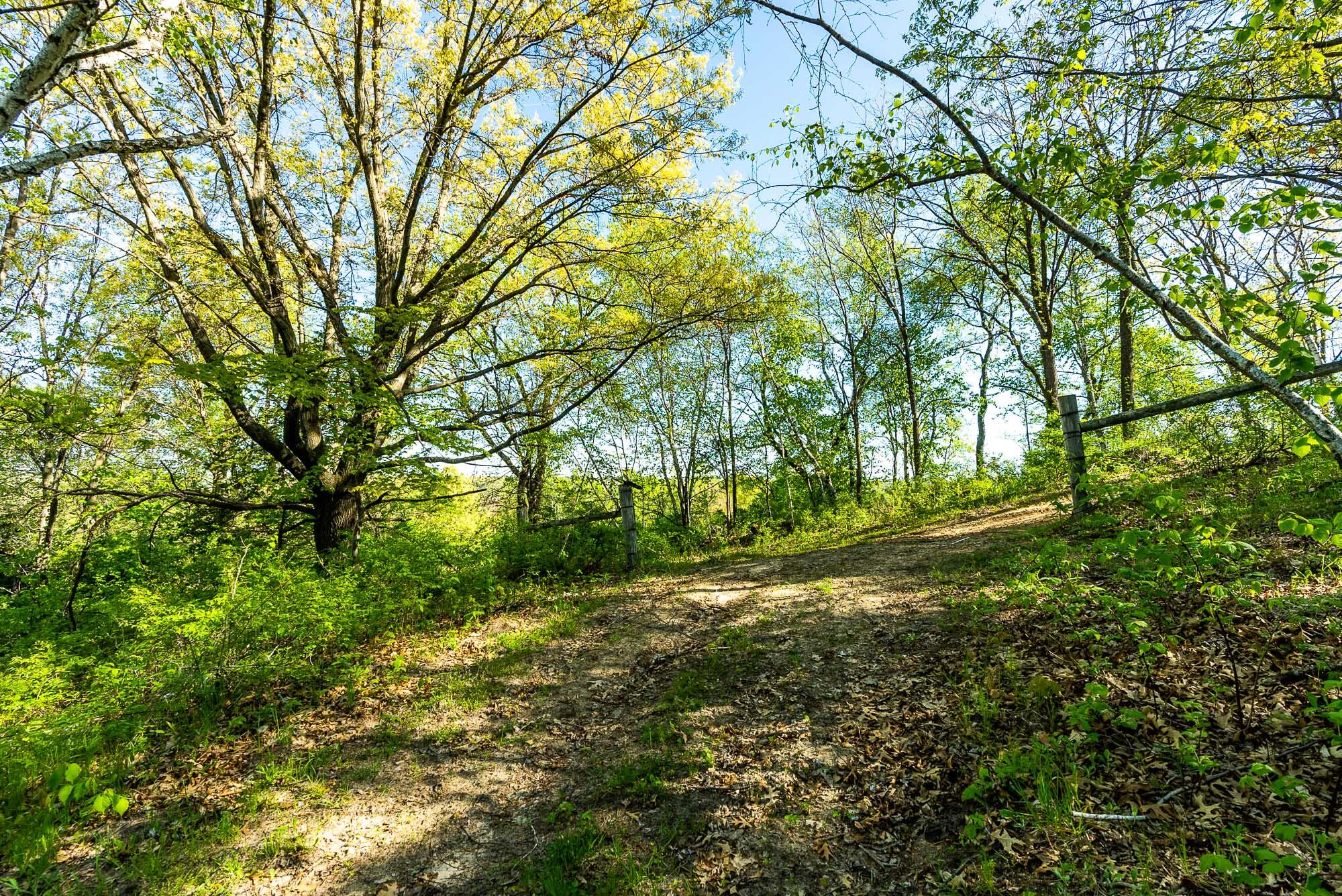 6427 Sand Hill Road Pulaski, WI 53506 - Photo 53 of 103 Iowa-County-WI-191-Acres-Land-For-Sale-5