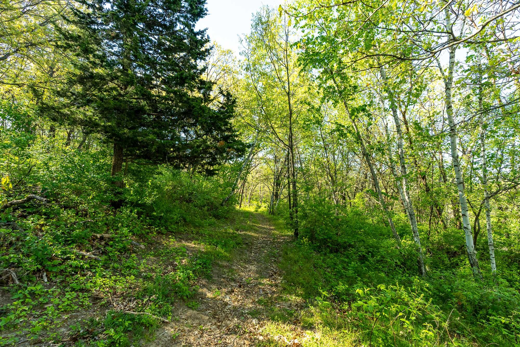 6427 Sand Hill Road Pulaski, WI 53506 - Photo 54 of 103 Iowa-County-WI-191-Acres-Land-For-Sale-5