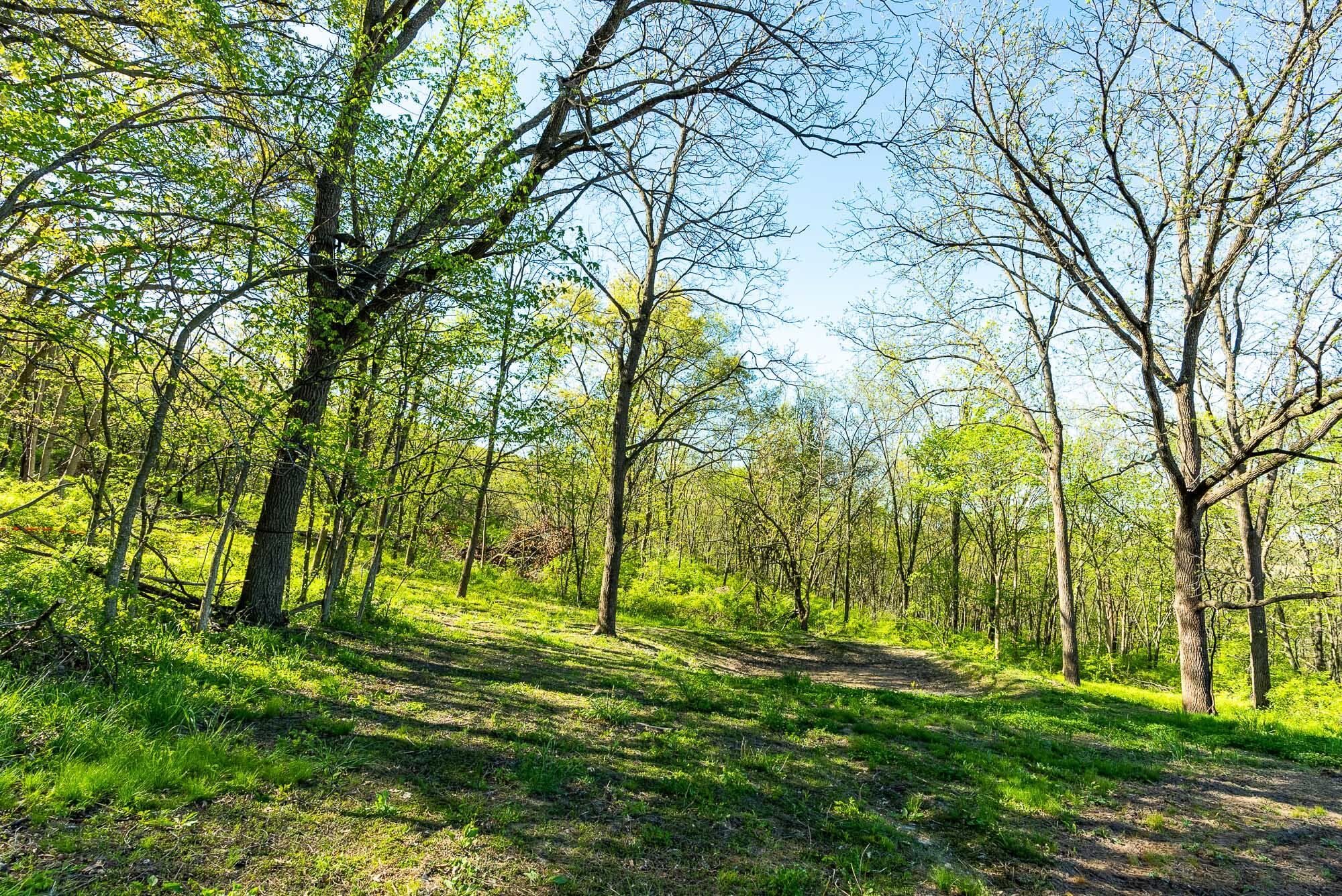 6427 Sand Hill Road Pulaski, WI 53506 - Photo 56 of 103 Iowa-County-WI-191-Acres-Land-For-Sale-5
