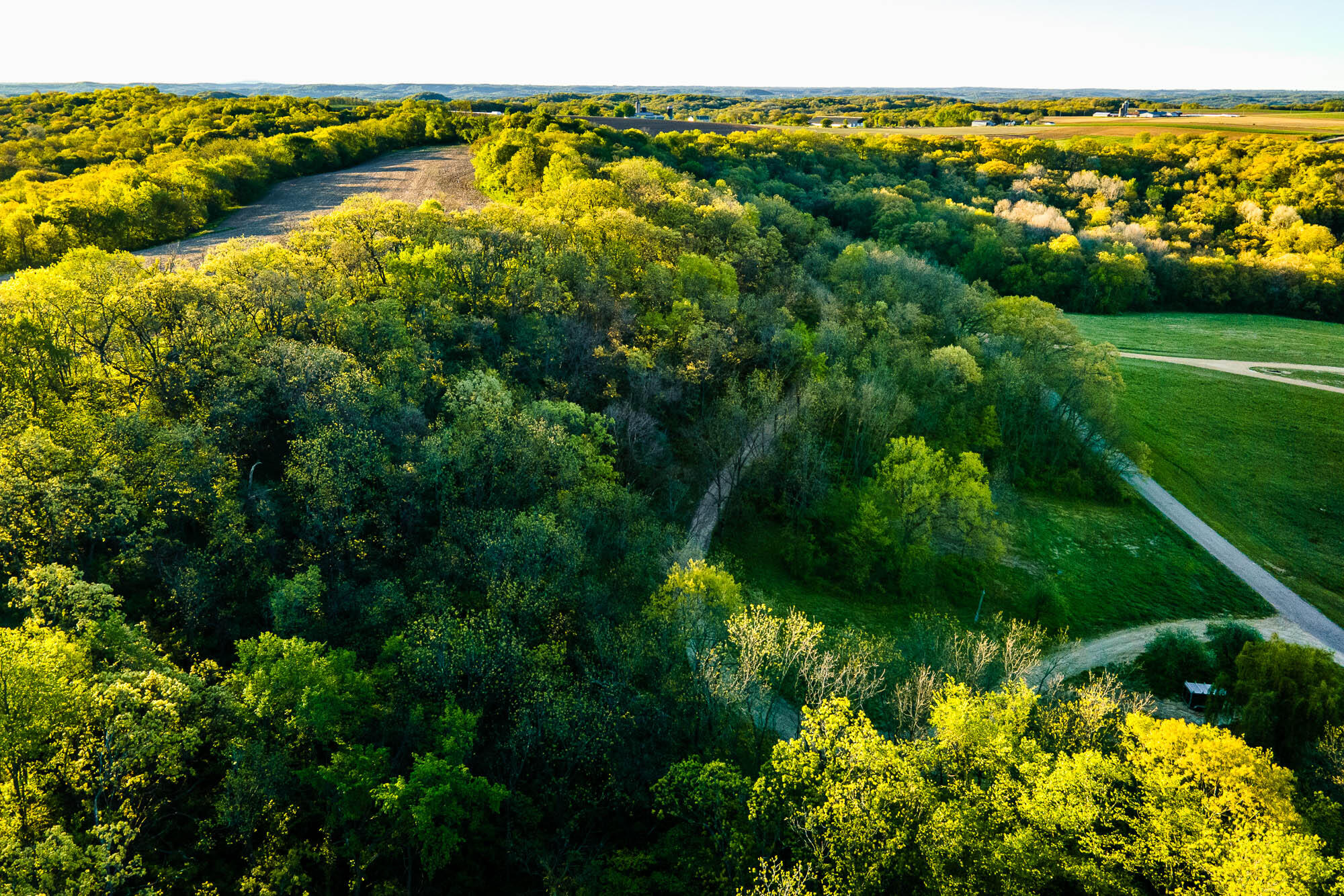 6427 Sand Hill Road Pulaski, WI 53506 - Photo 6 of 103 Iowa-County-WI-191-Acres-Land-For-Sale-6