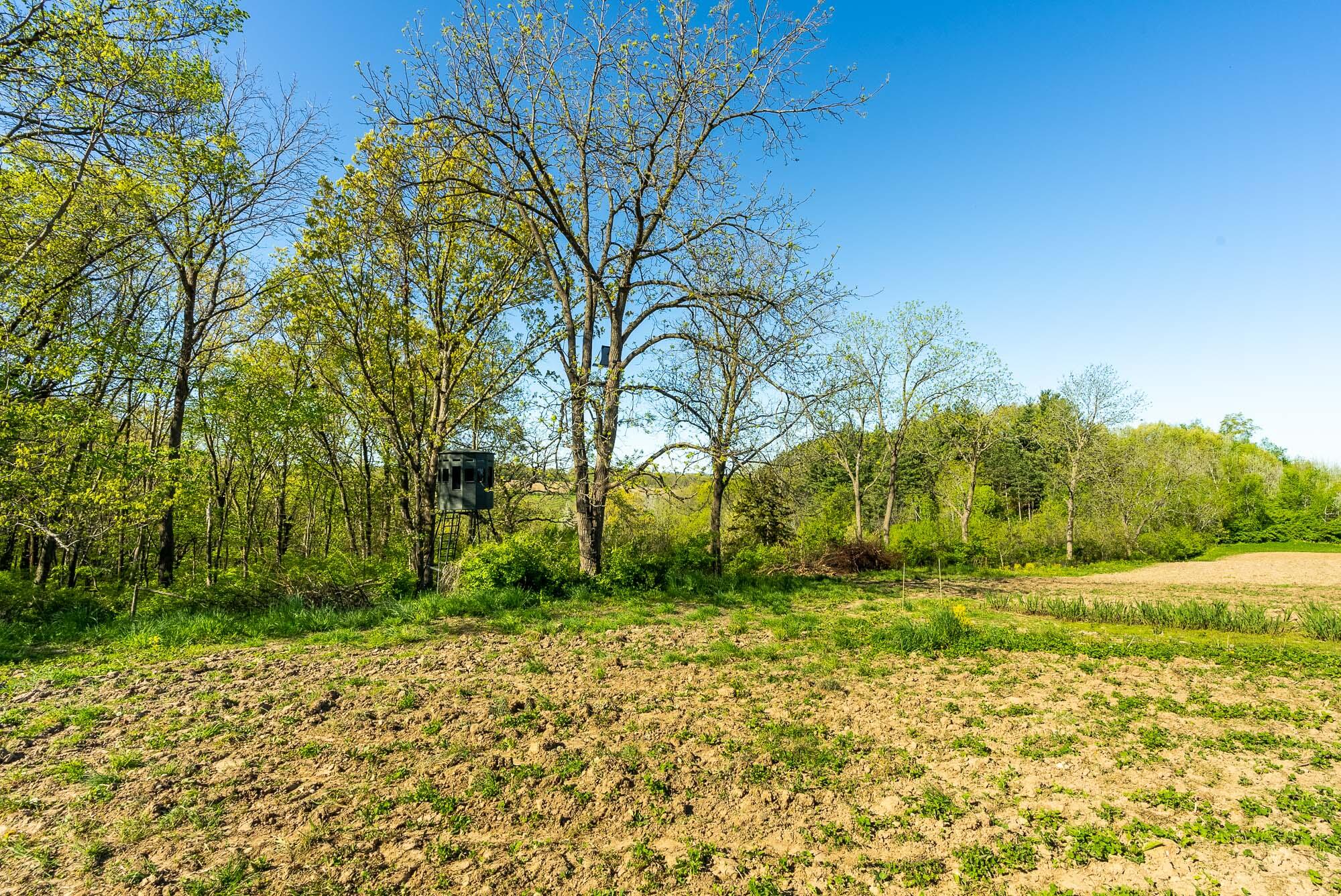 6427 Sand Hill Road Pulaski, WI 53506 - Photo 61 of 103 Iowa-County-WI-191-Acres-Land-For-Sale-6