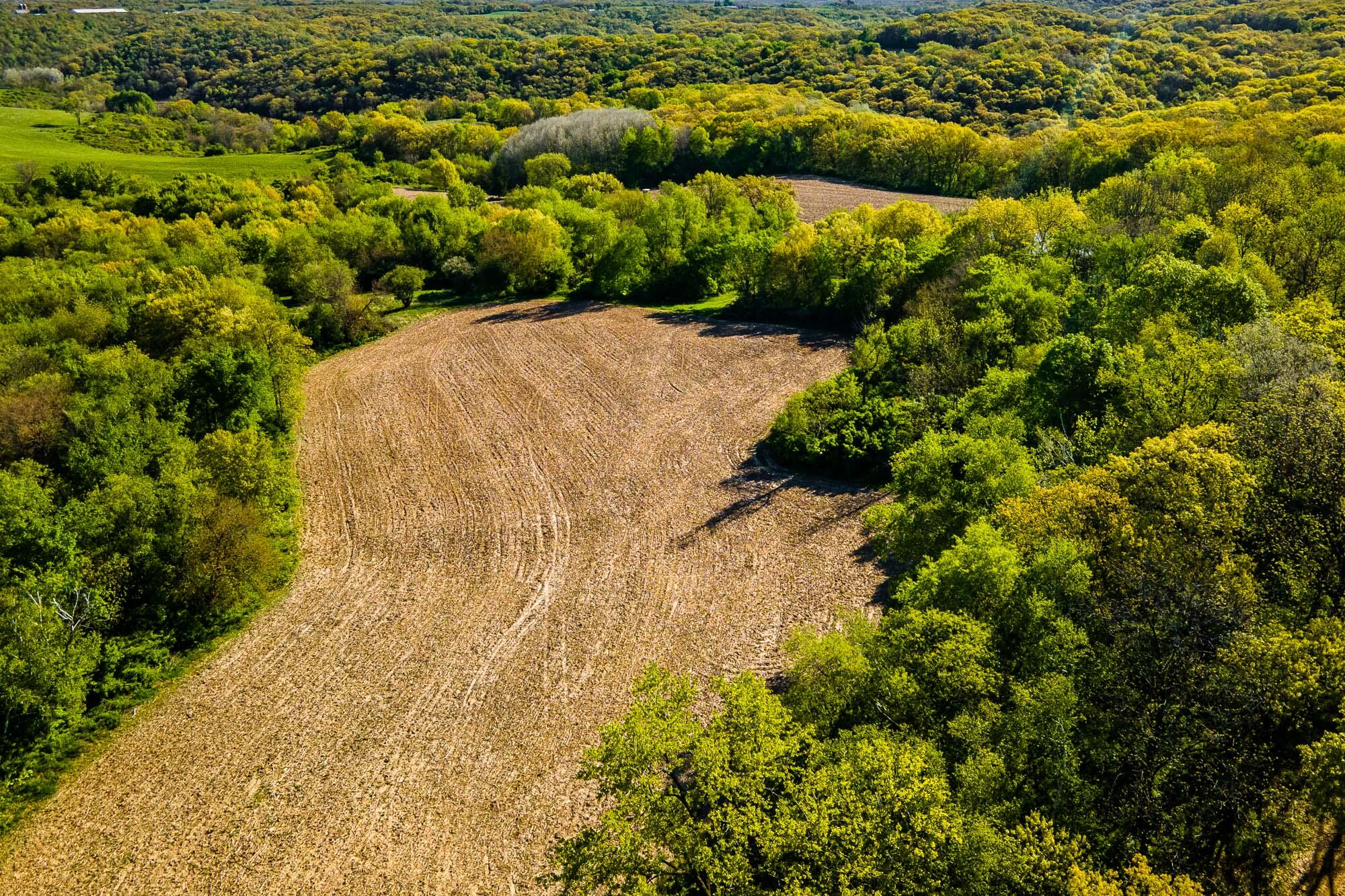 6427 Sand Hill Road Pulaski, WI 53506 - Photo 66 of 103 Iowa-County-WI-191-Acres-Land-For-Sale-6
