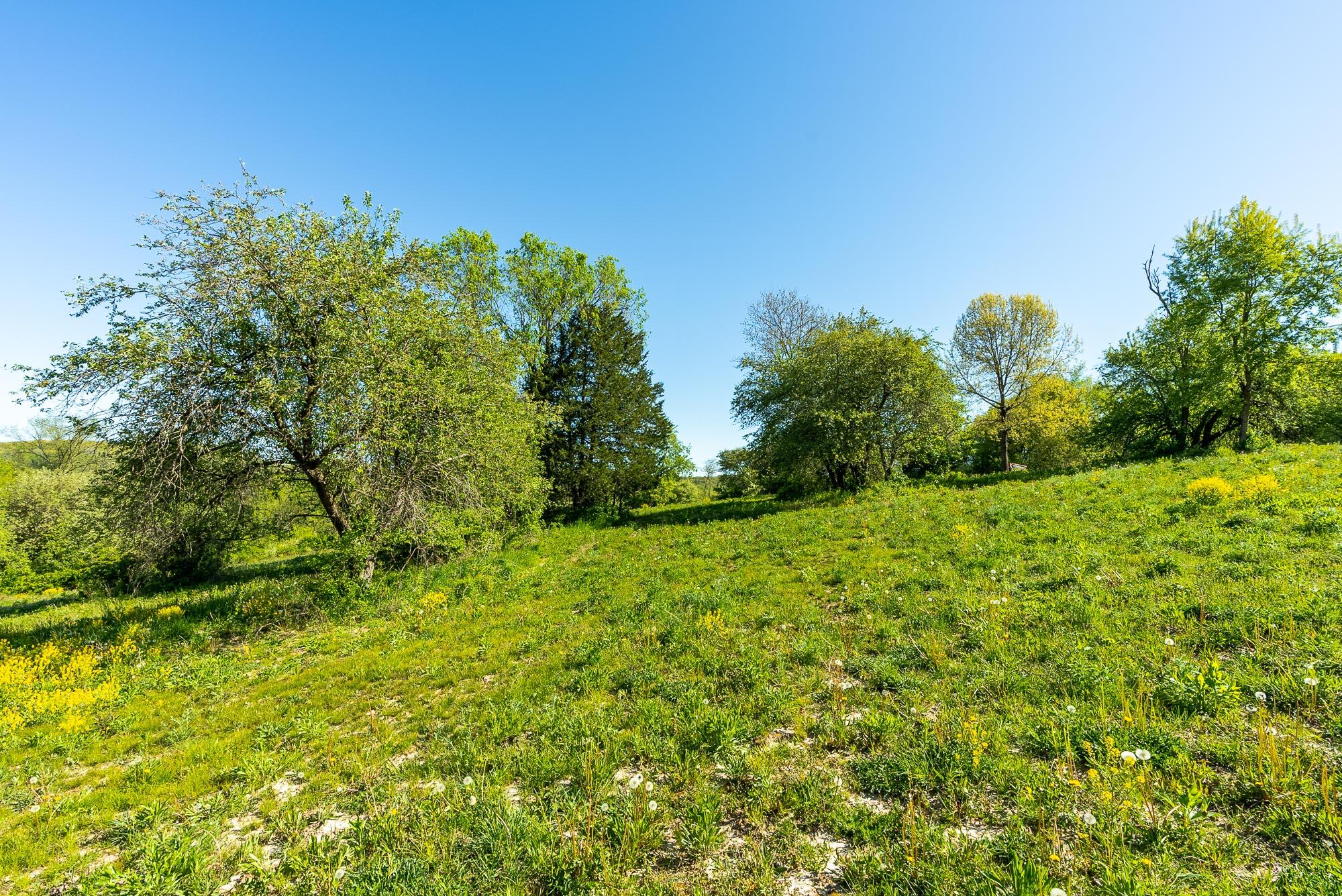 6427 Sand Hill Road Pulaski, WI 53506 - Photo 70 of 103 Iowa-County-WI-191-Acres-Land-For-Sale-7