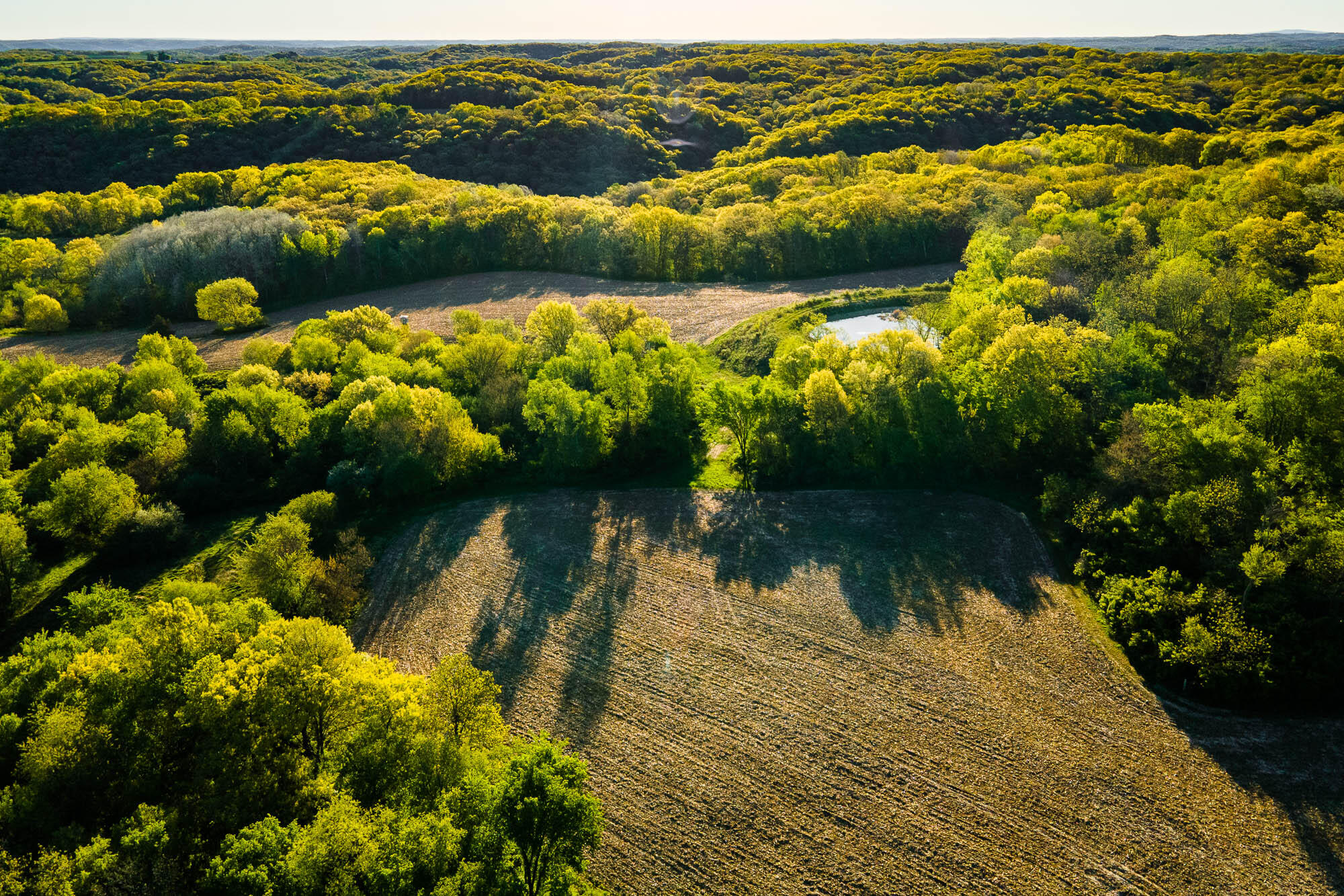 6427 Sand Hill Road Pulaski, WI 53506 - Photo 76 of 103 Iowa-County-WI-191-Acres-Land-For-Sale-7