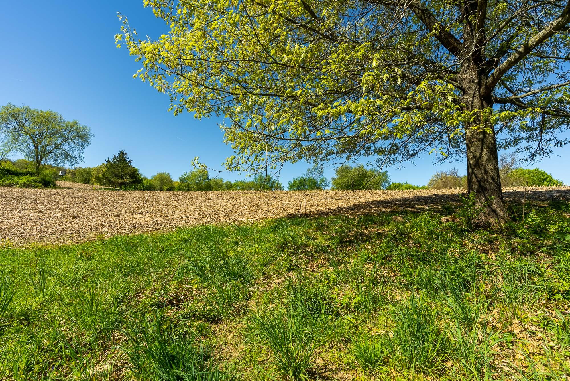 6427 Sand Hill Road Pulaski, WI 53506 - Photo 80 of 103 Iowa-County-WI-191-Acres-Land-For-Sale-8