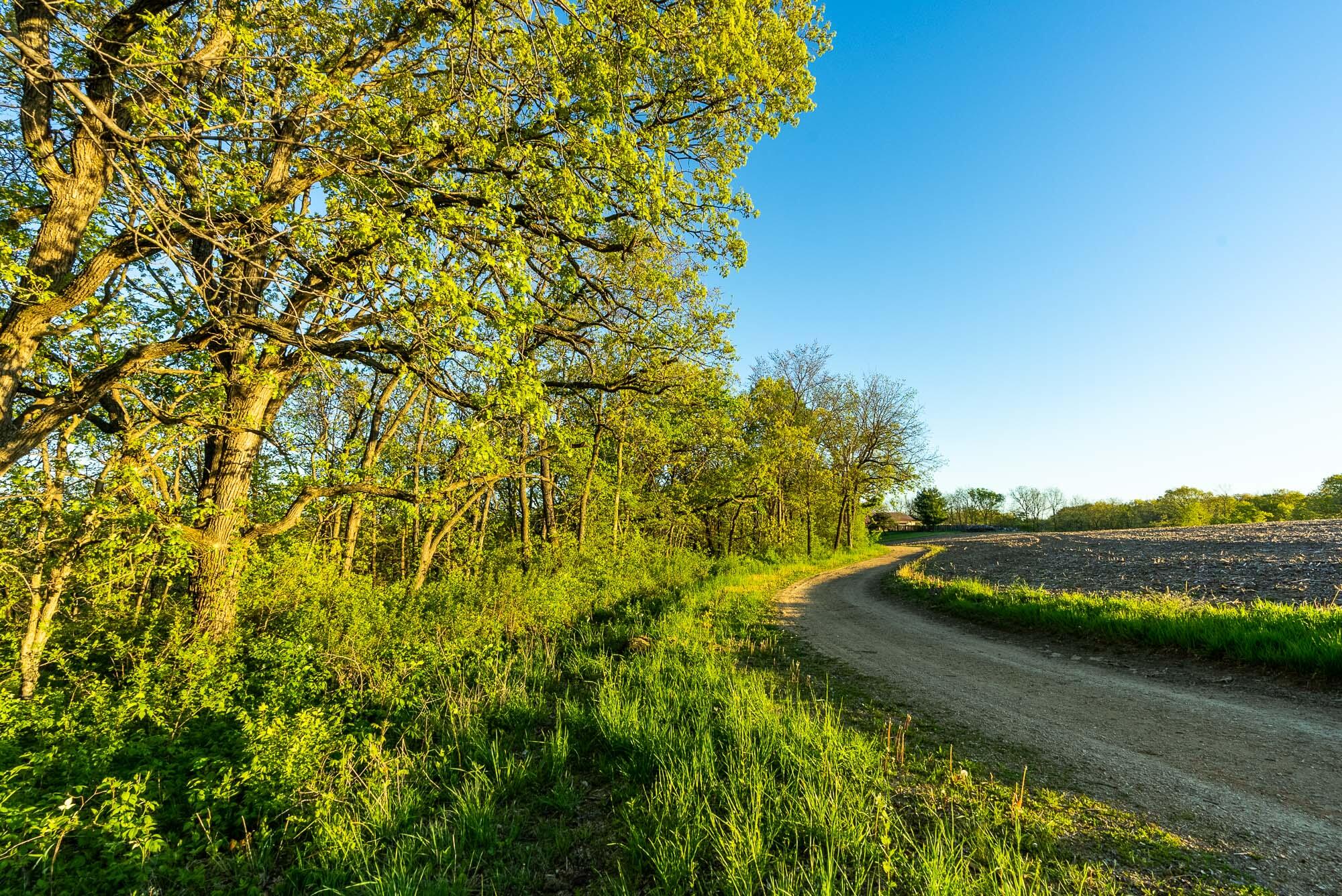 6427 Sand Hill Road Pulaski, WI 53506 - Photo 8 of 103 Iowa-County-WI-191-Acres-Land-For-Sale-8