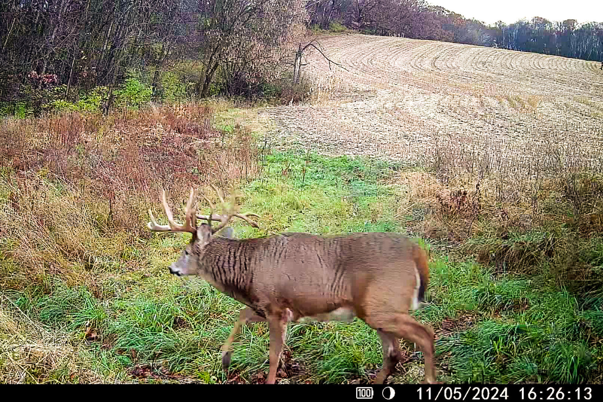 6427 Sand Hill Road Pulaski, WI 53506 - Photo 81 of 103 Iowa-County-WI-191-Acres-Land-For-Sale-8