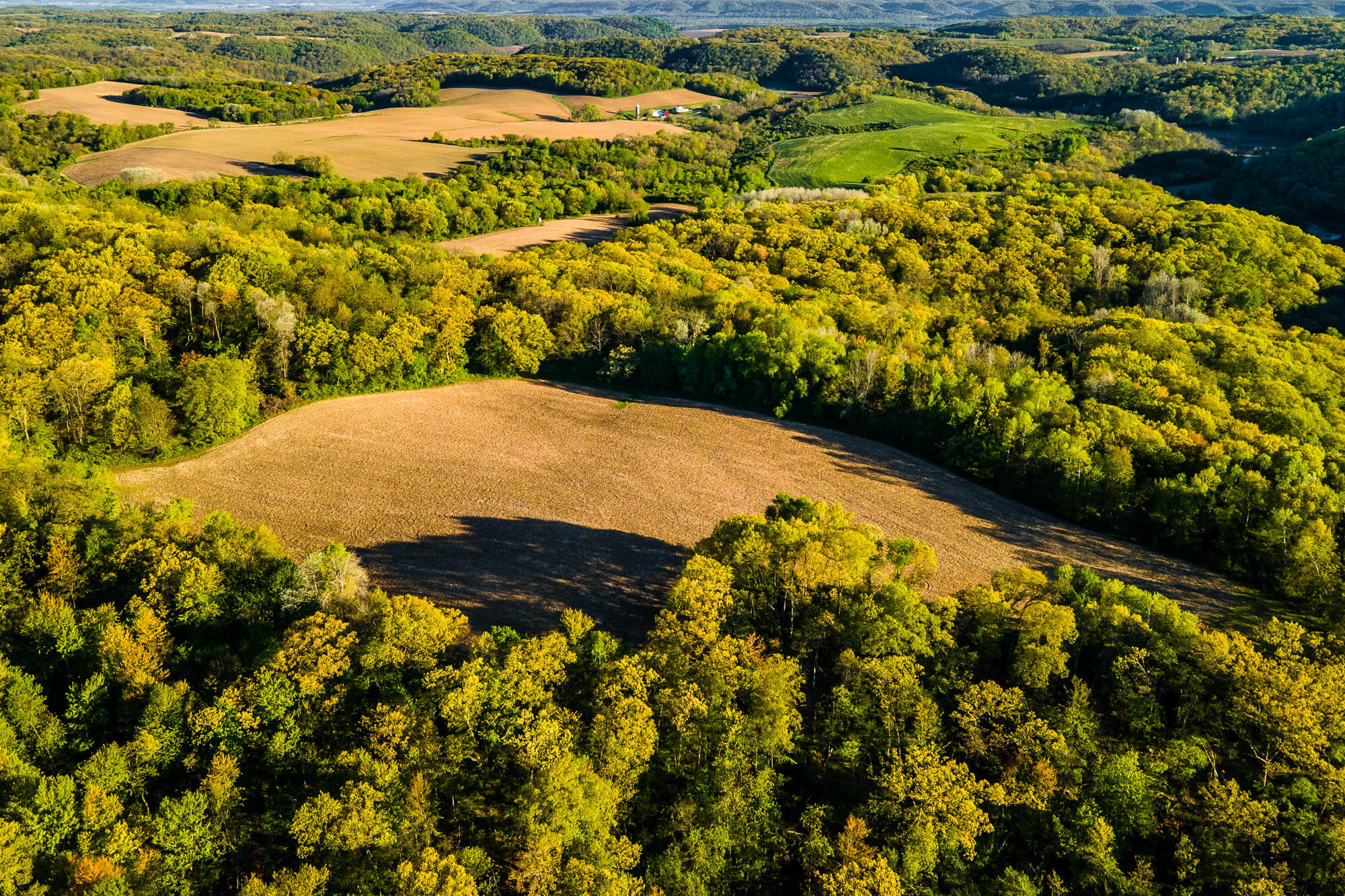 6427 Sand Hill Road Pulaski, WI 53506 - Photo 84 of 103 Iowa-County-WI-191-Acres-Land-For-Sale-8
