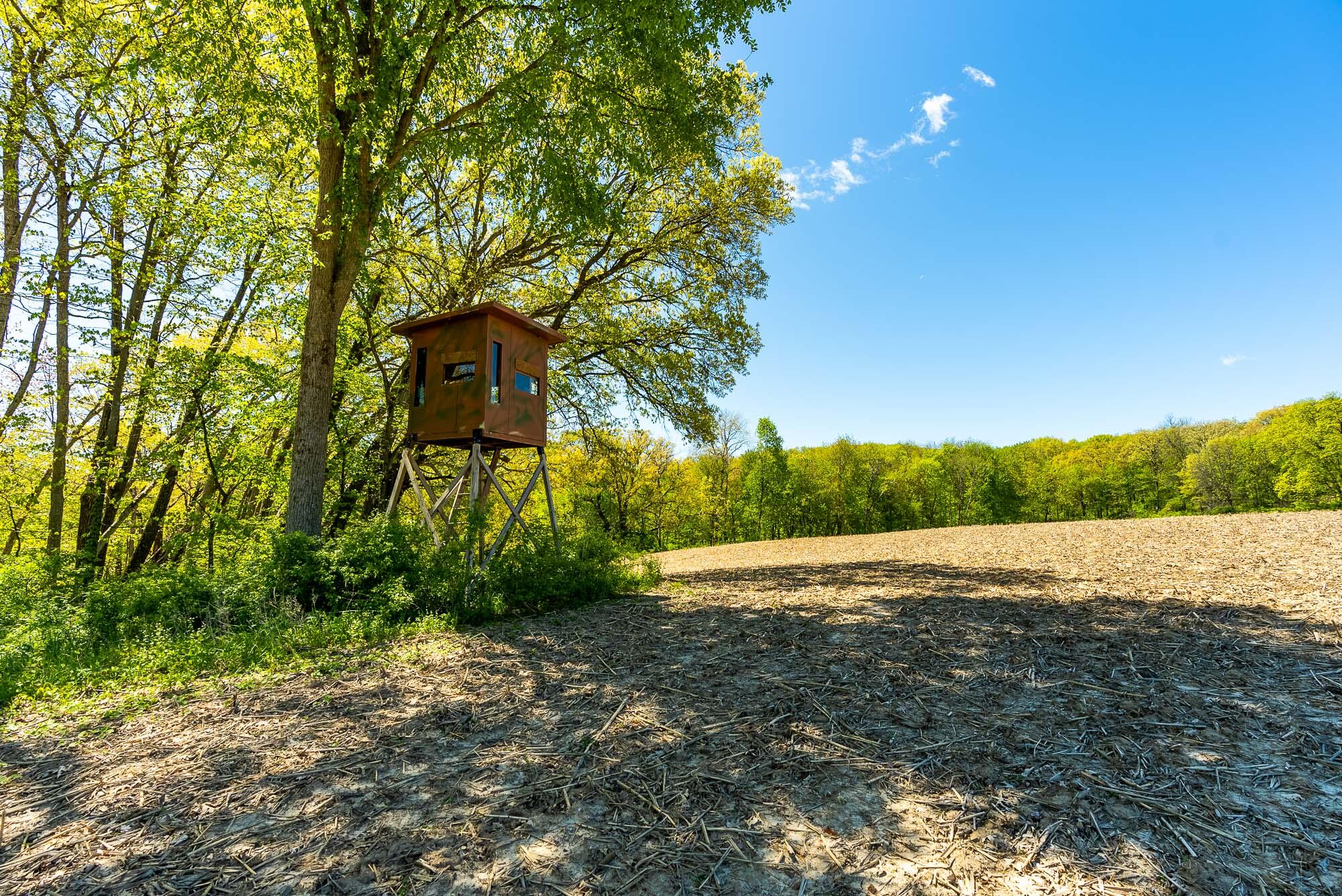 6427 Sand Hill Road Pulaski, WI 53506 - Photo 85 of 103 Iowa-County-WI-191-Acres-Land-For-Sale-8