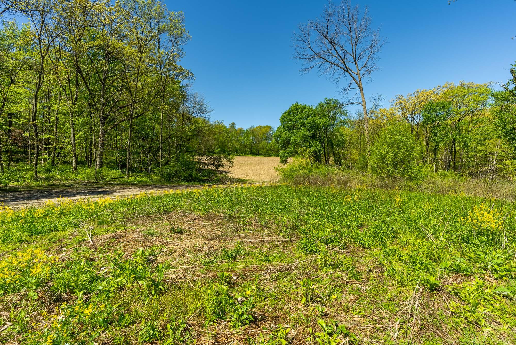 6427 Sand Hill Road Pulaski, WI 53506 - Photo 90 of 103 Iowa-County-WI-191-Acres-Land-For-Sale-9