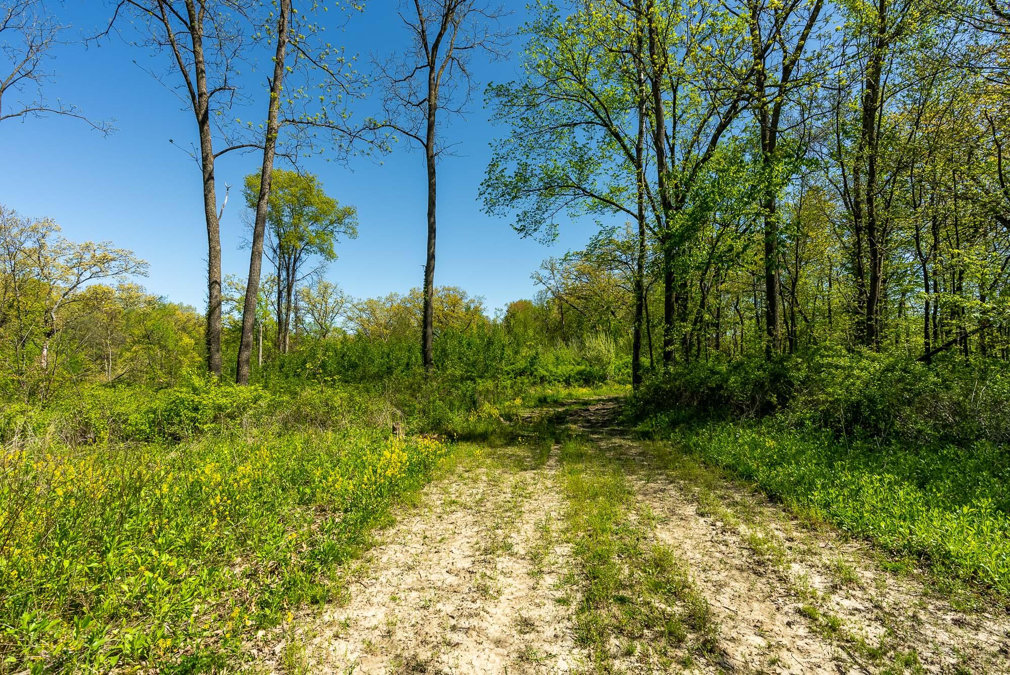 6427 Sand Hill Road Pulaski, WI 53506 - Photo 91 of 103 Iowa-County-WI-191-Acres-Land-For-Sale-9