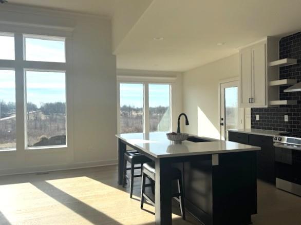 29517 West 196th Street Gardner, KS 66030 - Photo 17 of 49