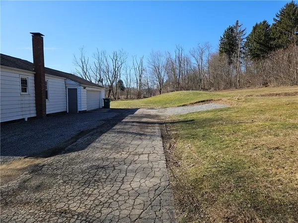 a view of a yard with a tree