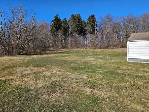 a view of a yard with trees