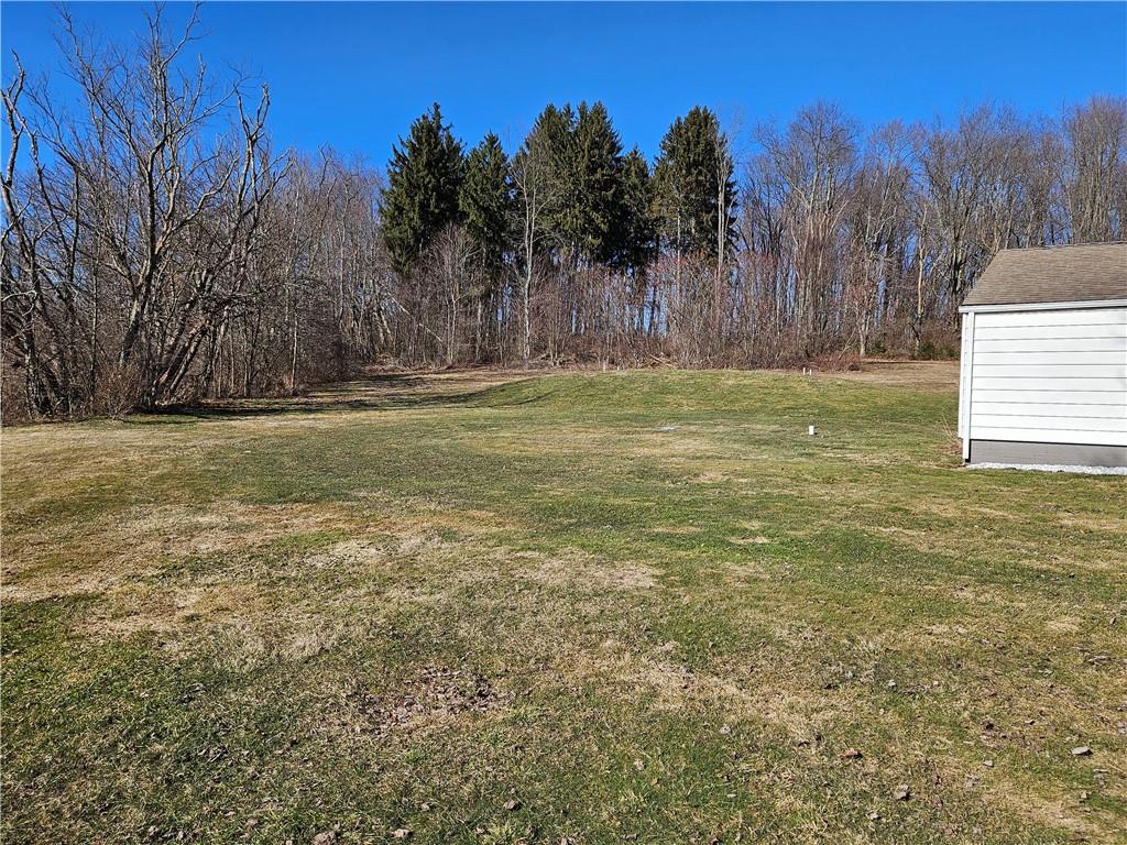 908 New Castle Road Butler, PA 16001 - Photo 22 of 23 a view of a yard with a tree