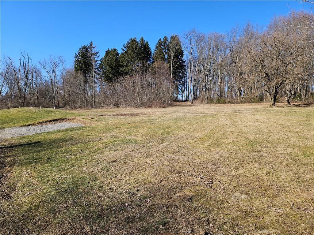 908 New Castle Road Butler, PA 16001 - Photo 23 of 23 a view of a yard with trees