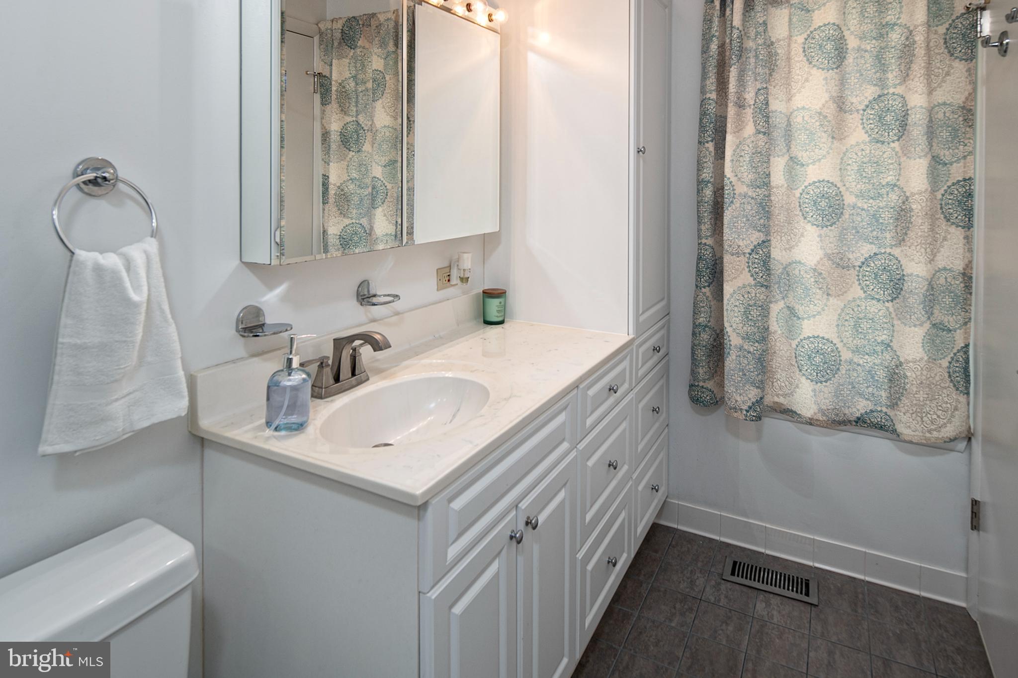 5513 Vantage Point Road, Unit 36 Columbia, MD 21044 - Photo 25 of 49 The full en-suite primary bathroom