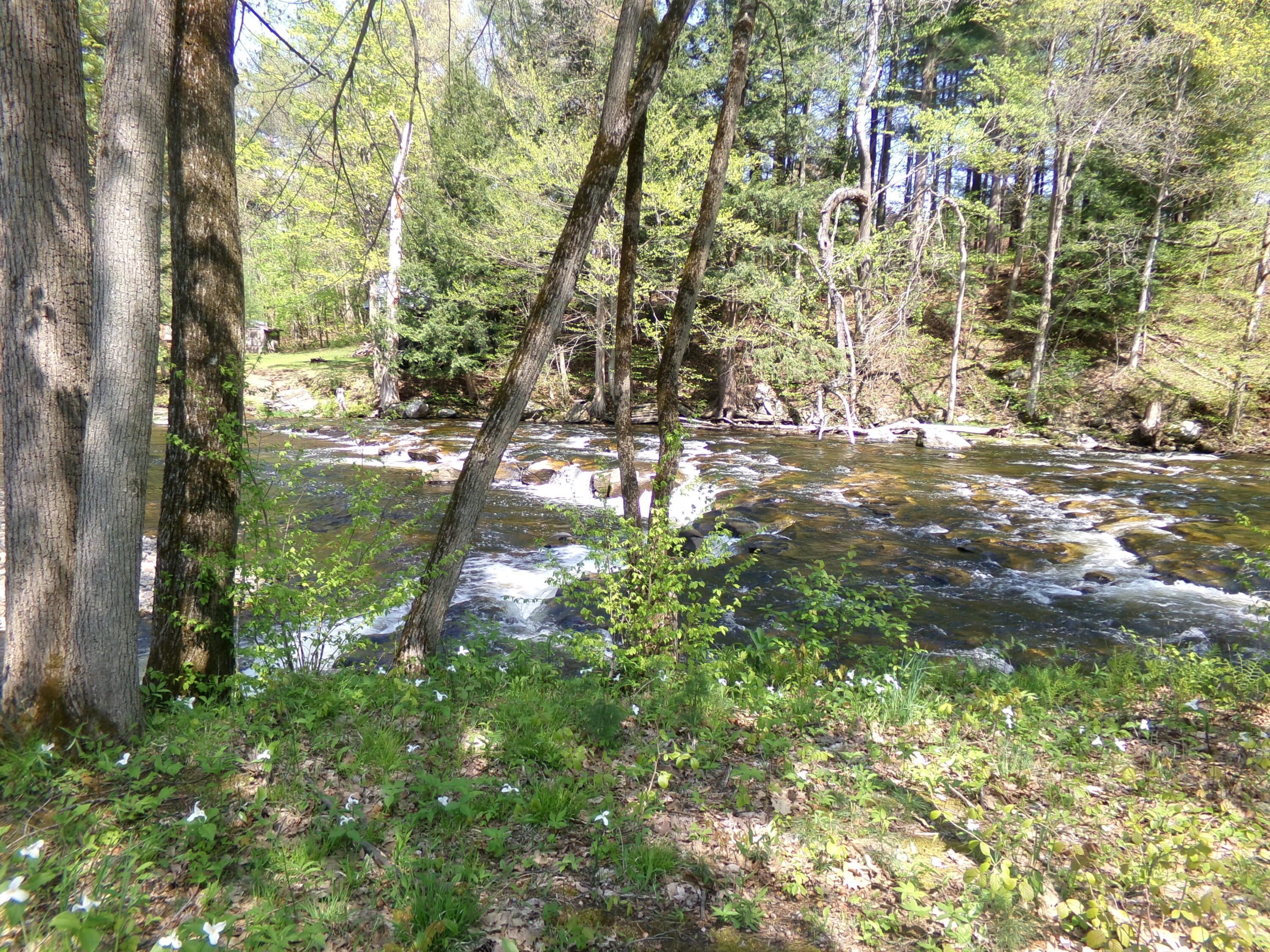 55 Riverside Drive Constable, NY 12926 - Photo 5 of 18 100_0473