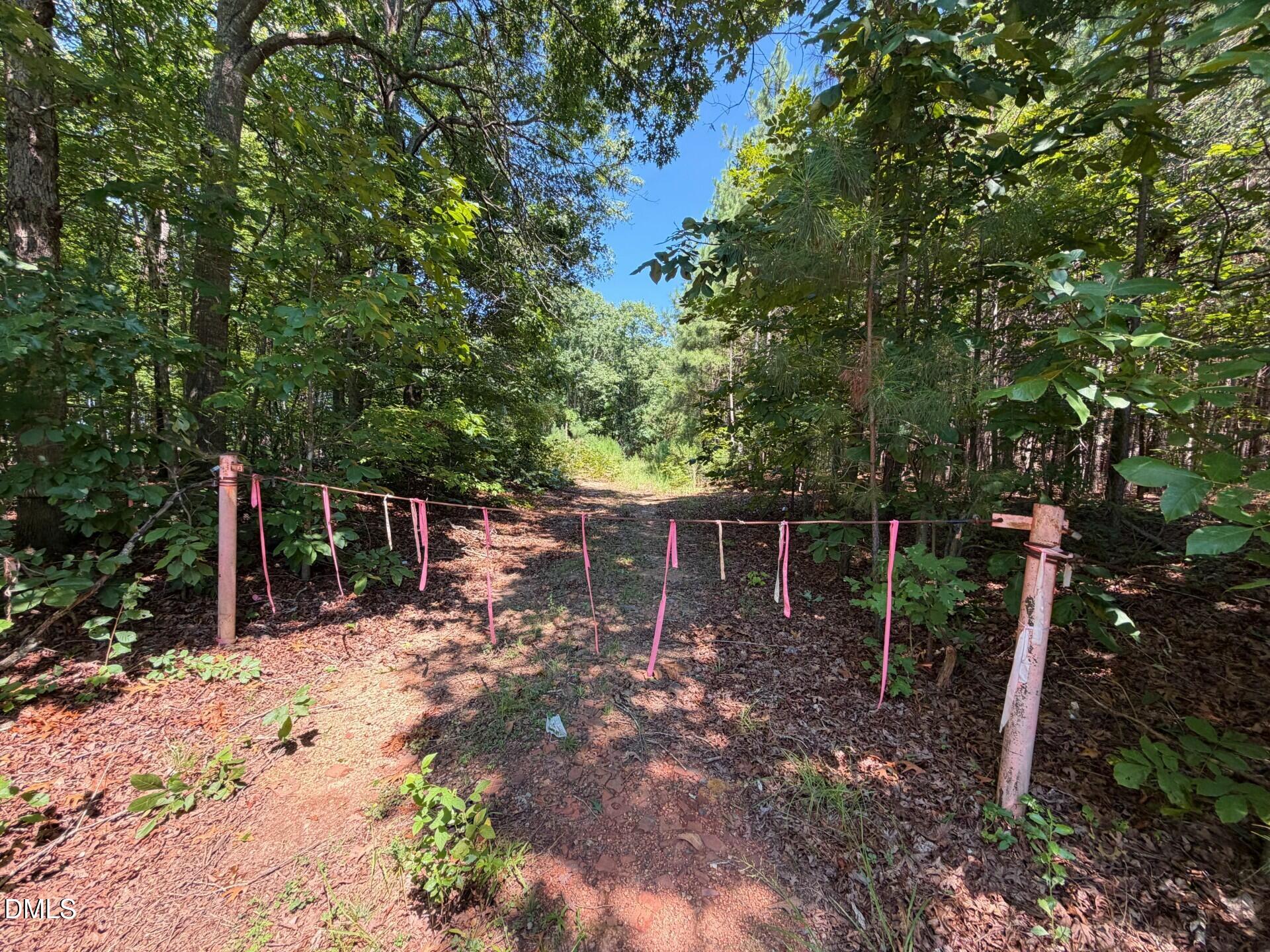 Lot 3 Haw Branch Road Goldston, NC 27252 - Photo 22 of 25 Pic 22