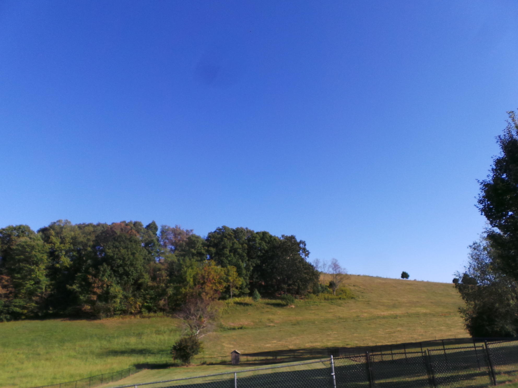 660 Boones Station Road Gray, TN 37615 - Photo 46 of 86 2019-09-24 17.27.00