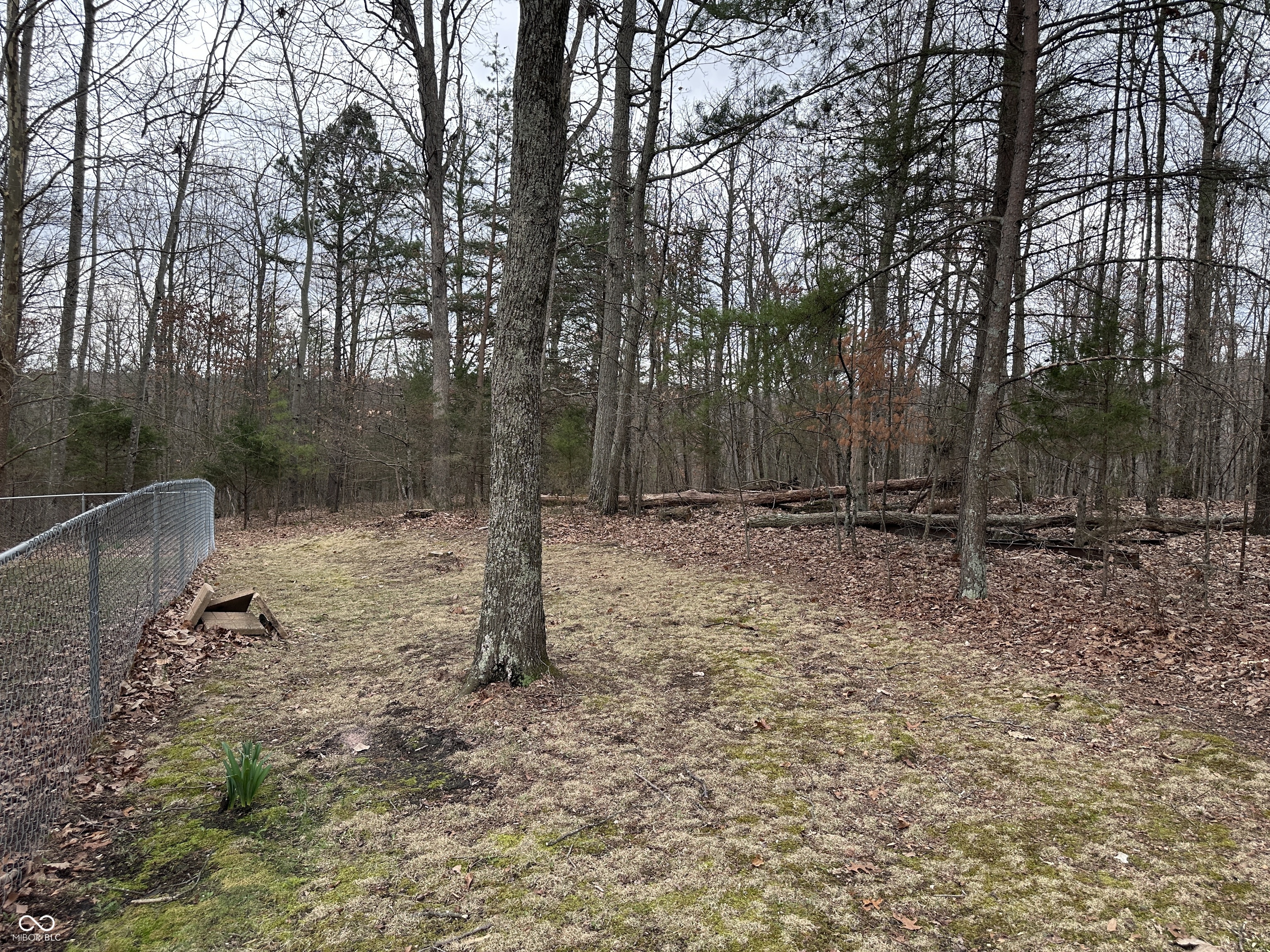 8053 Nathans Row Seymour, IN 47274 - Photo 24 of 69