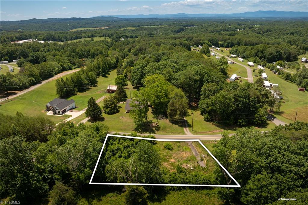 309 Ararat Longhill Road Pilot Mountain, NC 27041 - Photo 2 of 34