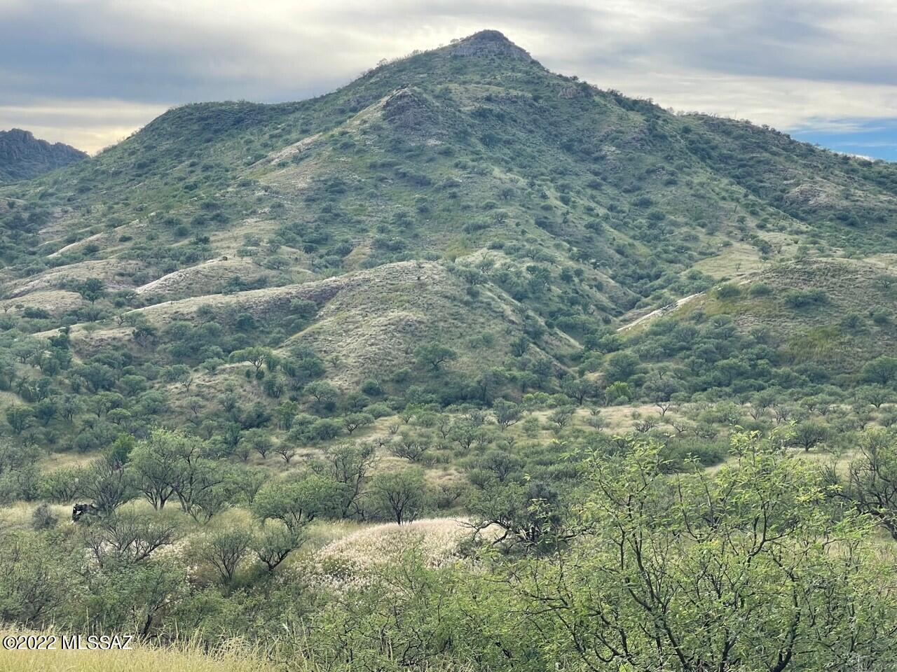 Tbd Tbd Nighthawk Court, Unit 186/5 Rio Rico, AZ 85648 - Photo 1 of 23