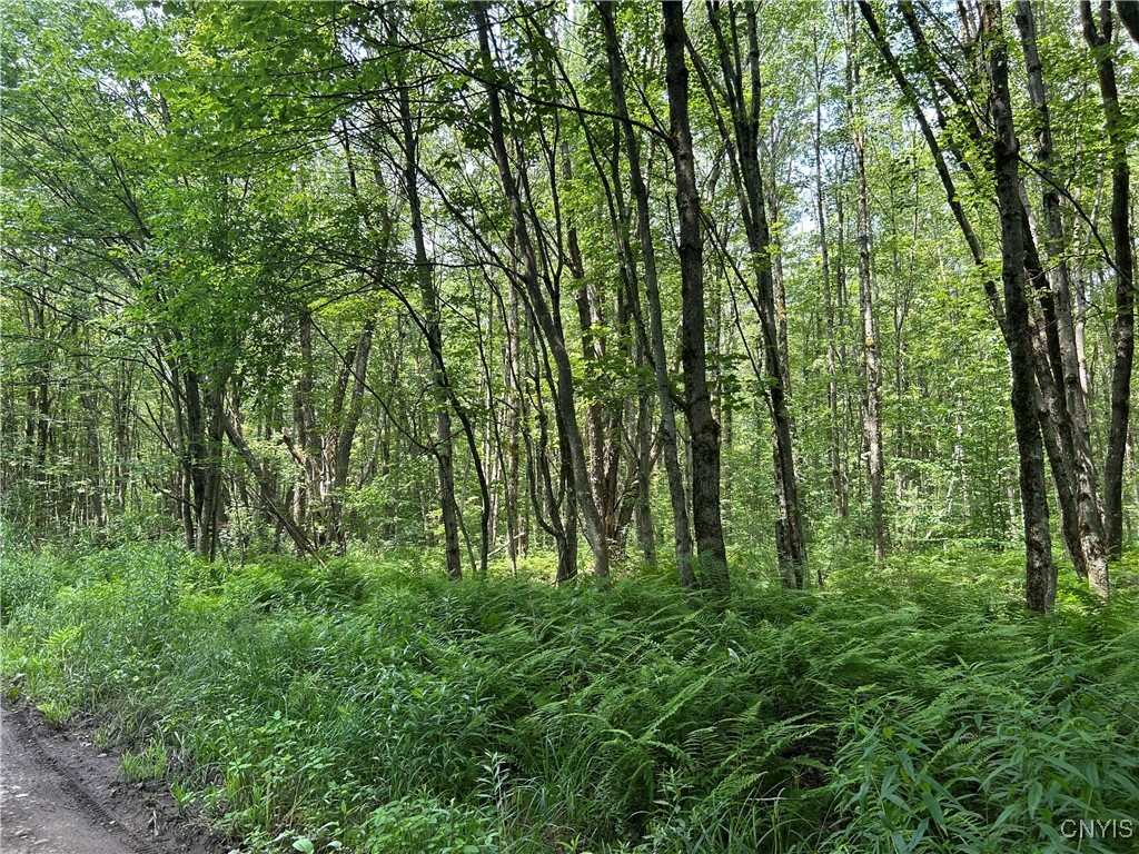 Kimball Camp Road Richland, NY 13144 - Photo 5 of 10