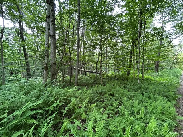 $19,900 | Kimball Camp Road, Richland, NY 13144