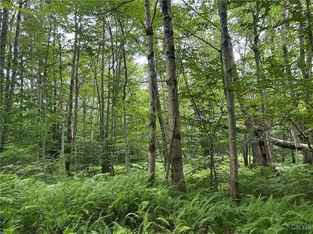 $19,900 | Kimball Camp Road, Richland, NY 13144