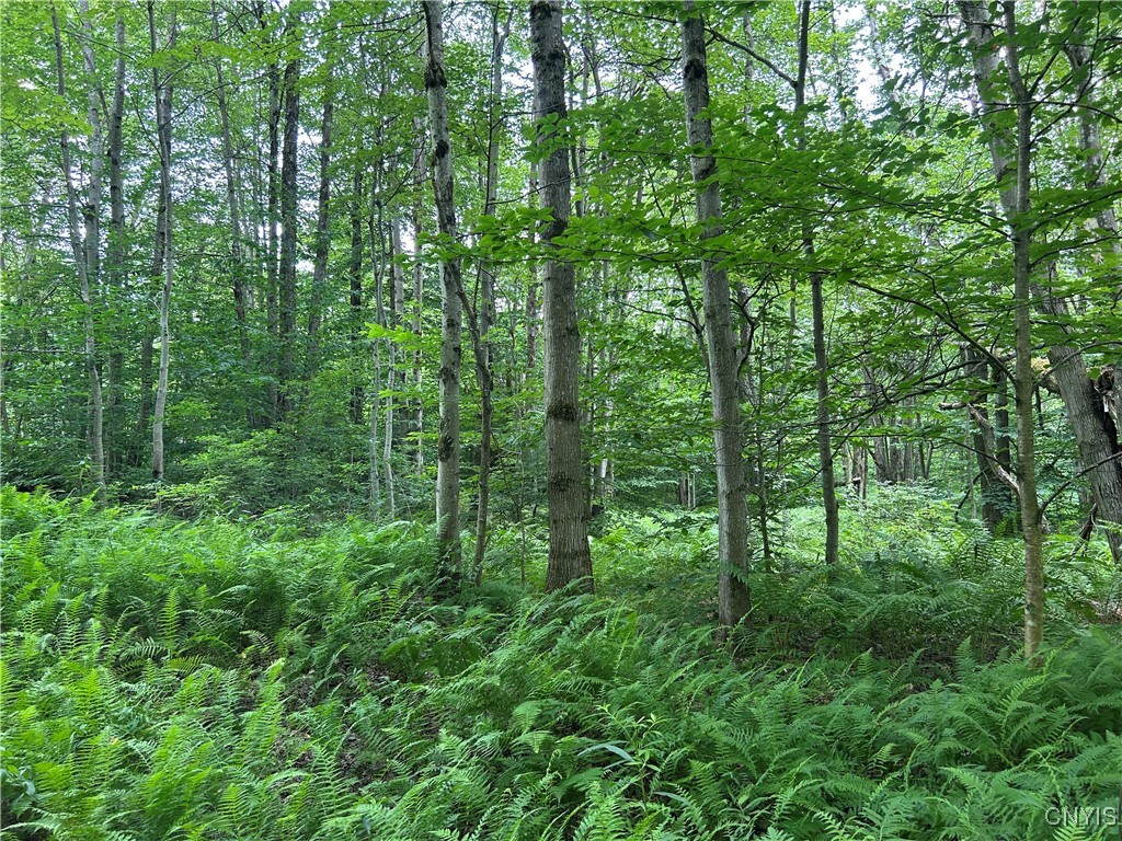 Kimball Camp Road Richland, NY 13144 - Photo 10 of 10